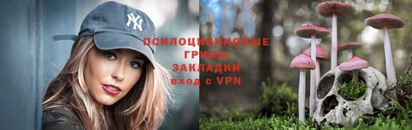 ГАЛЛЮЦИНОГЕННЫЕ ГРИБЫ Алзамай