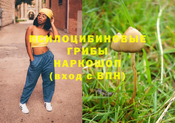 бутират Алексеевка
